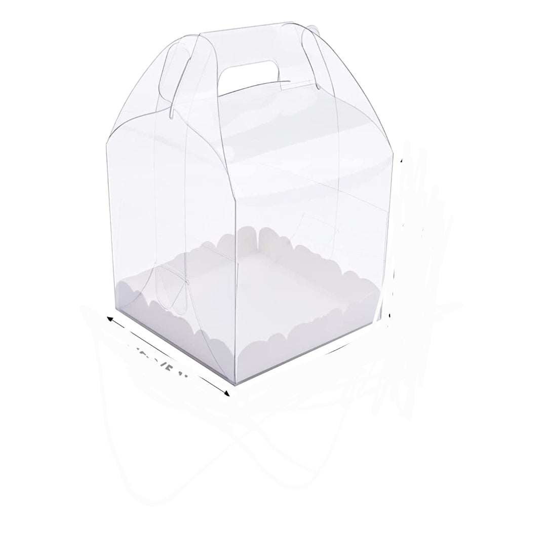 Clear Bento Cake Box